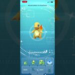 ✨Shiny Charmander ✨Pokemon GO #pokemon #pokemongo #shinypokemon #shinyhunting #ポケモンgo #ポケモン