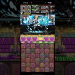 編成が詰みすぎている【パズドラ】