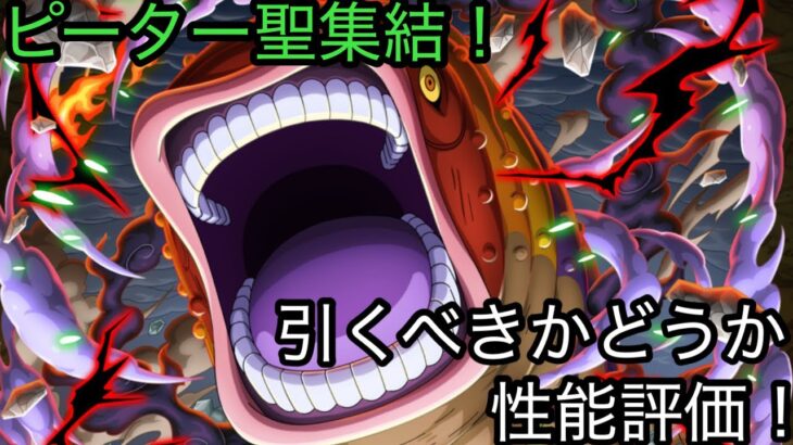 [トレクル]五老星集結！ピーター聖は引くべきキャラなのか！？性能評価！[OPTC][超スゴフェス]
