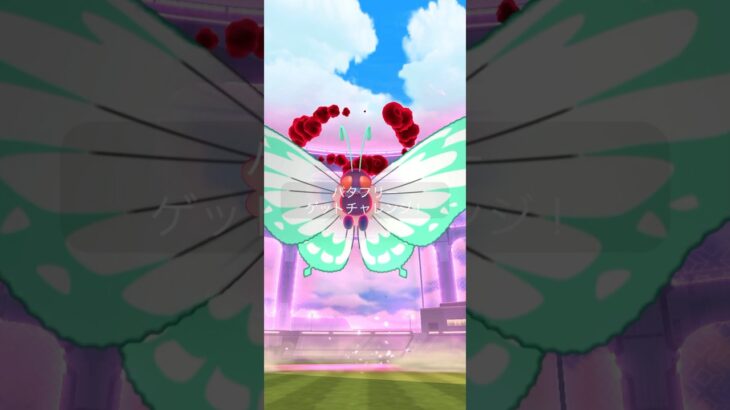 【ポケモンGO】VSキョダイマックスバタフリー #ポケモン #ポケモンgo #pokemon #pokemongo  #キョダイマックス #バタフリー