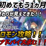 [Fate/Grand Order]ドはまり中のFGOストーリー進める[ソロモン攻略]