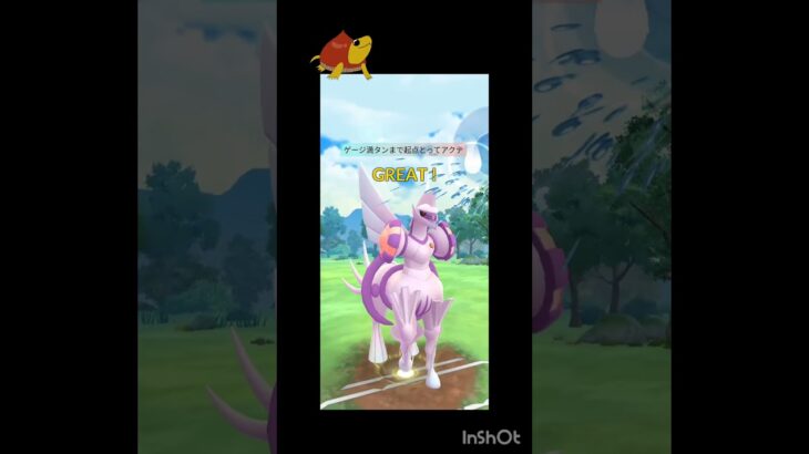 メガマスターリーグだーーー!!!!　 #ポケモン #ポケモンgo #マスターリーグ #gbl