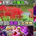 【ドラクエウォークLive】６周年 英雄を継ぐ者 第３章と曼殊沙華を見に巾着田へ【ツイキャス、ニコ生同時配信】