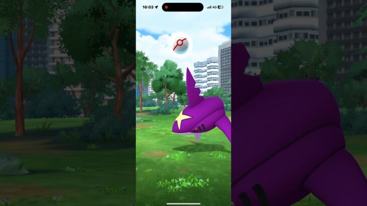 色違いサメハダーが２戦目でキターーーッ！ #ポケモンgo #pokemongo #ポケモン