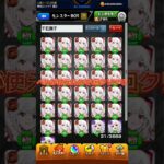 千石撫子1面運極作成 #モンスト #モンスト好きと繋がりたい #モンスト物語シリーズコラボ #物語シリーズ #1面運極 #千石撫子