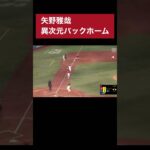 矢野雅哉 異次元バックホーム　#プロ野球 #プロ野球スピリッツa #矢野雅哉 #広島東洋カープ