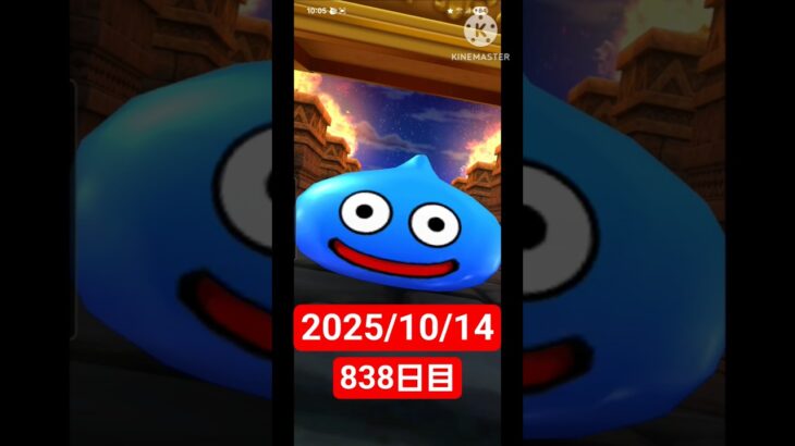 【ドラクエウォーク】永遠のビギナー男のデイリーガチャ2025/10/14【838日目】#ドラクエウォーク#ドラクエウォークガチャ#ガチャ動画#おすすめに乗りたい