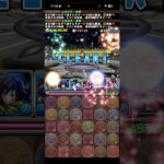 銀翼チャレンジ、最高の瞬間【パズドラ】