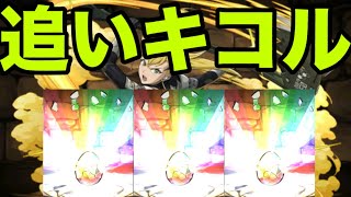 恐怖と絶望の『追いキコルガチャ』怪獣8号コラボ【パズドラ】