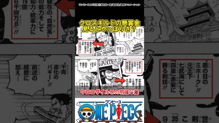 【ワンピース】海軍はミホークを凄い恐れてるよね#ワンピース