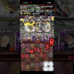 世紀の大失敗【パズドラ】