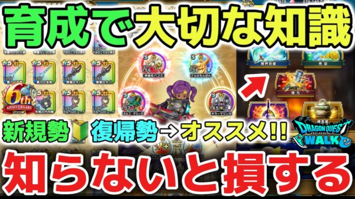 【ドラクエウォーク】新規や復帰勢さん必見！知らないと損する育成や強化で大切な豆知識について解説します！【DQウォーク】