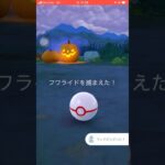 フレンドと二人討伐 #ポケモンgo     ハロウィン衣装フワライド二人討伐！