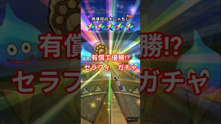 ドラクエウォーク　ガチャ　有償で優勝!?　セラフィ　装備　ドラゴンクエスト　#shorts #ドラクエウォーク #ガチャ#ドラクエ #ドラゴンクエスト