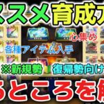 【ドラクエウォーク】新規や復帰勢さん必見！オススメの育成方法について！今後必ず困るところの対処法を解説します！【DQウォーク】