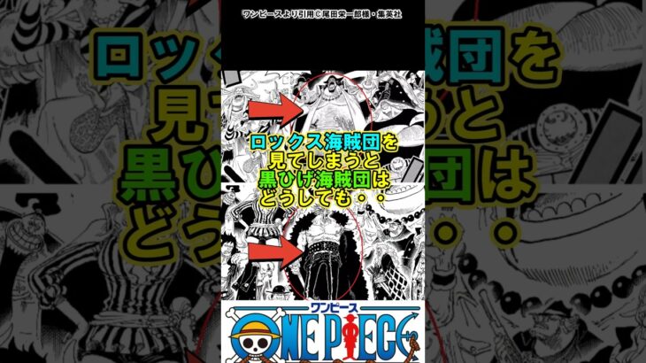 【ワンピース】ロックス海賊団と黒ひげ海賊団を比べると#ワンピース