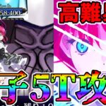 【高難易度】チェイテピラミッド姫路城初見の蒼崎青子で5T攻略！【FGO】【Fate:GrandOrder】ハロウィン2025「LIVE FES〜WE ARE ELIZABETH〜」エリちゃんラッシュ