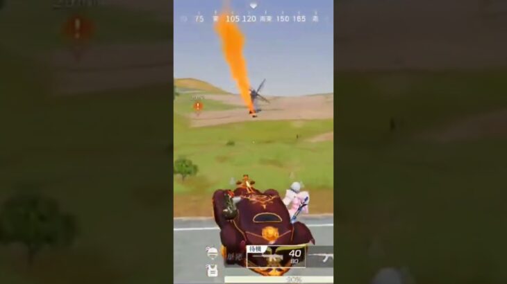 【荒野行動】優秀な精鋭達と治安警備しながらBGMを付けてみた。ワイルドシリーズ。