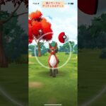 【難易度低】フォクスライ極小サークルクリティカルゲット【ポケモンGO】