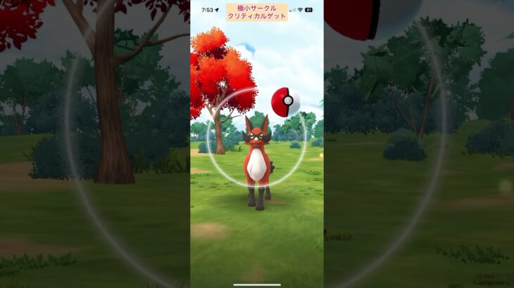 【難易度低】フォクスライ極小サークルクリティカルゲット【ポケモンGO】