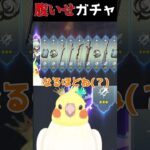【原神】ギャンブル負けた腹いせにフリンズガチャを引いた結果🐥👑🌱　 #genshinimpact #原神 #切り抜き #vtuber #オカメインコ