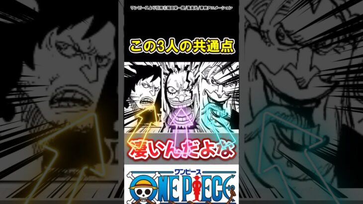 【ワンピース】女よりも大事なものがあるんだよ！#ワンピース