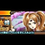 【トレクル】海賊王への軌跡 VS プリン