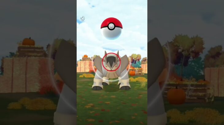 【ポケモンGO】テラキオンゲットだぜ✌🏻#ポケモンgo