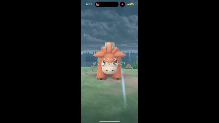 メガバクーダもレイドデイ参戦してみた #ポケモンgo #pokemongo #pokemongoshorts