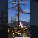 【荒野行動】戦闘態勢に入った精鋭達を送迎しながらBGMを付けてみた。ワイルドシリーズ。