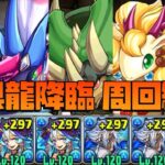 【パズドラ】玩具龍降臨を水試練オーディンで周回する編成を作ってみた