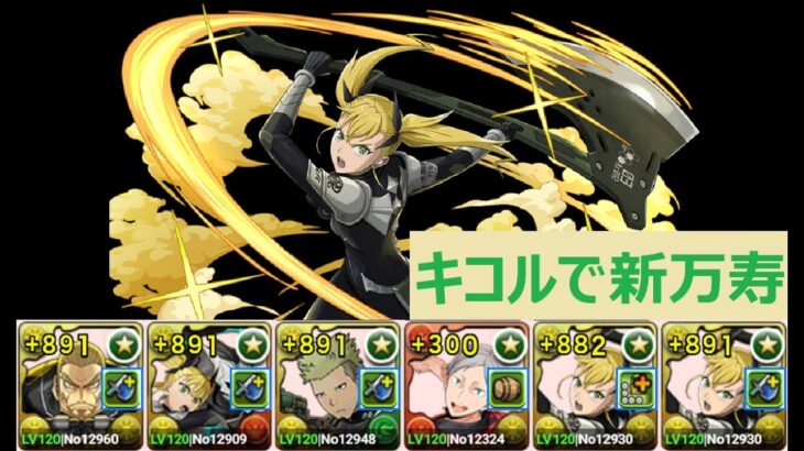 【パズドラ】四ノ宮キコルで新万寿　約７分　四ノ宮功＆灰羽リエーフ