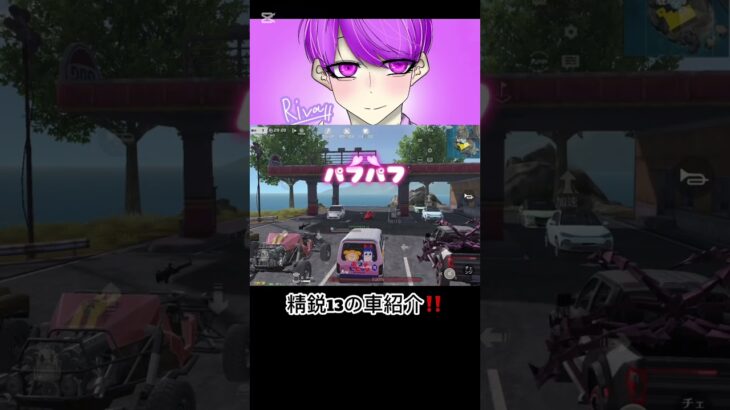 【車庫紹介】精鋭13でも車紹介させてくださいよ！！【荒野行動】