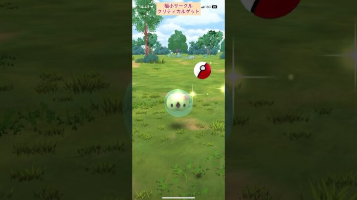【難易度中】色違いユニラン極小サークルクリティカルゲット【ポケモンGO】