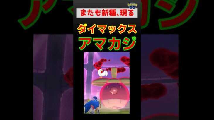 予告【新種！ダイマックスアマカジ】 #ポケモンgo #ポケモン #pokemongo #ダイマックス #アマカジ