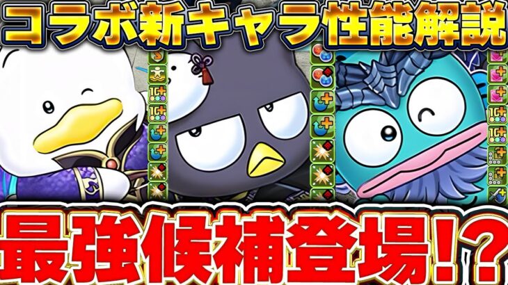 毎ターンシールド破壊可能な火水環境最強候補登場！！サンリオコラボの新キャラ性能解説！！【パズドラ実況】＃パズドラ