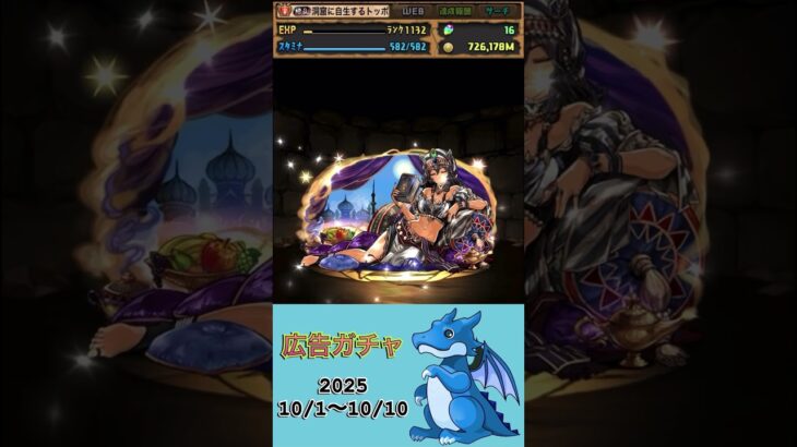 [パズドラ]  広告ガチャ　2025/10/1〜10/10