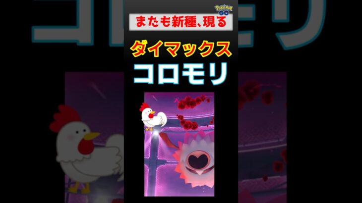新種登場！【ダイマックスコロモリ】 #ポケモンgo #ポケモン #pokemongo #ダイマックス #コロモリ #ハロウィン