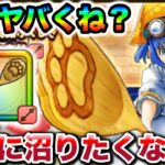 【ドラクエウォーク】肉球印の大しゃもじガチャ！前回天井なので絶対に沼りたくない女