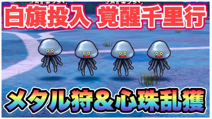 【ドラクエウォーク】覚醒千里行でメタル狩り！白旗投入！