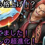 [トレクル]ハロウィンシャンクス待望の超進化！新しく討伐祭での超進化だが、性能も格上げ！？[OPTC]