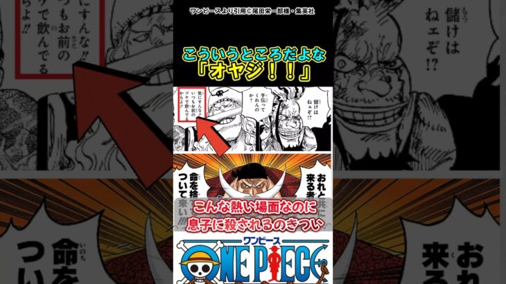 【ワンピース】粋なオヤジの最後は息子に殺られたのか…#ワンピース