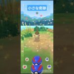 日常#ポケモンgo #未来の古