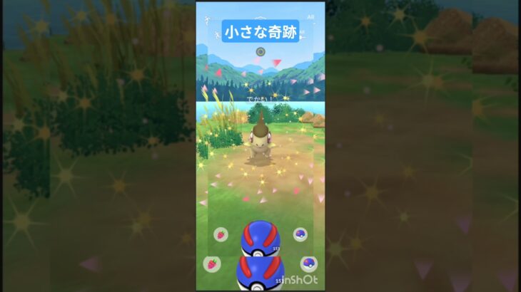 日常#ポケモンgo #未来の古