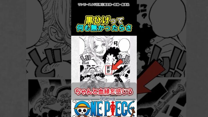 【ワンピース】黒ひげってちゃんと血を感じるよね#ワンピース