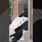 【荒野行動】走りながら漁りながらBGMを付けてみた。ワイルドシリーズ。