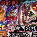 [トレクル]エッグヘッド最終局面超スゴフェス第 3幕！今回のおすすめ弾は○弾！！[OPTC][超スゴフェス]