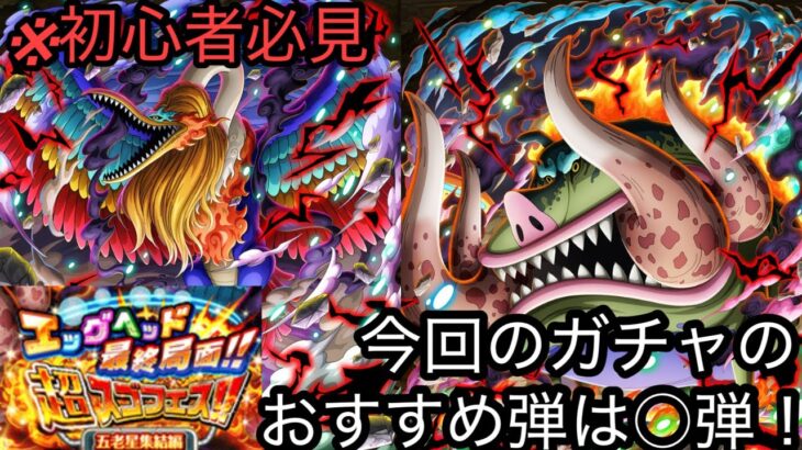 [トレクル]エッグヘッド最終局面超スゴフェス第 3幕！今回のおすすめ弾は○弾！！[OPTC][超スゴフェス]