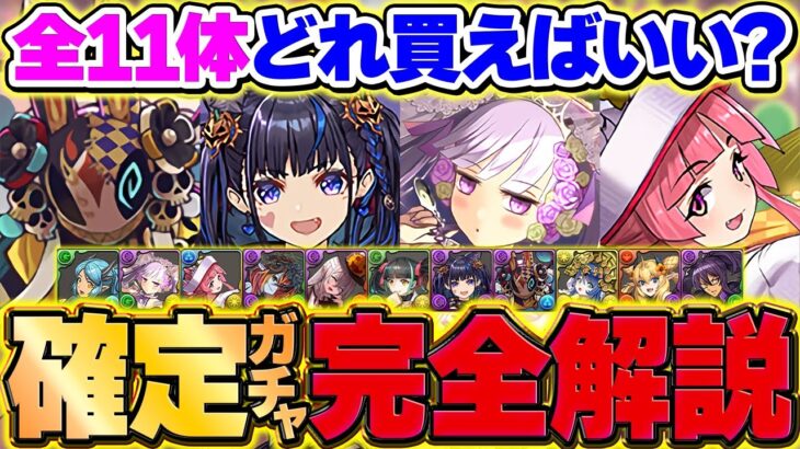 【残り24時間】確定ガチャ全11体オススメ解説！必要なのは◯体だけ！これ見ればOKです！【パズドラ】