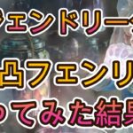 【実戦検証】周年フェンリルをレジェリで試してみた！ダメ遮断の実力を正直レビュー【メメモリ】